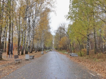 В понедельник в Марий Эл немного потеплеет
