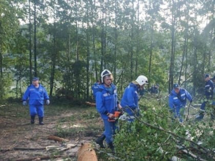 Зайцев взял под личный контроль ситуацию с устранением последствий урагана