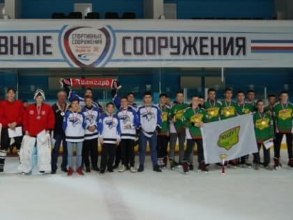 В Республике Марий Элзавершился республиканский турнир по хоккею  среди команд юниорской группы 17-18 лет