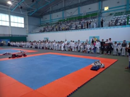 В Йошкар-Оле прошли соревнования по боевым искусствам в Республике Марий Эл среди школьников