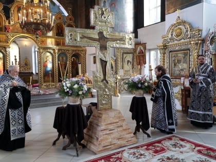 Епископ Феофан совершил последнюю в нынешнем году пассию