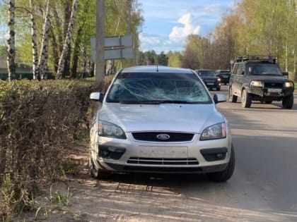 В Волжске береза упала на движущуюся иномарку