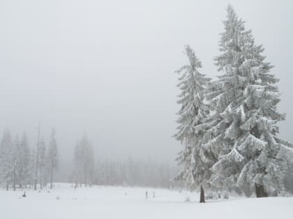 В Марий Эл на этой неделе придёт «ныряющий» циклон