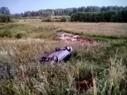 В Новоторъяльском районе ВАЗ четырнадцатой модели оказался в кювете