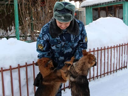 Пять новых сотрудников поступили на службу в подразделения охраны марийской уголовно-исполнительной системы