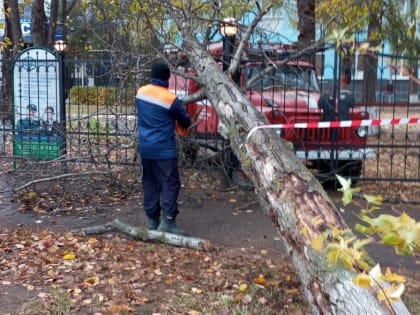 В Йошкар-Оле ветром повалено много деревьев, повреждены автомобили и электросети