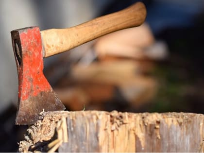 В Марий Эл женщина получила условный срок за отрубленный палец своего сожителя