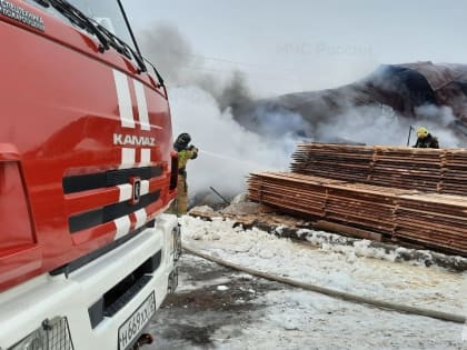 Неделя в Марий Эл отмечена 21 пожаром