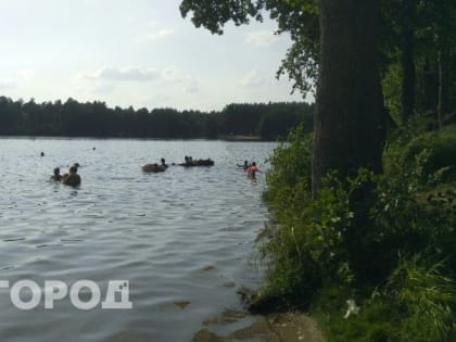 Жителям Марий Эл запретили купаться к озере Яльчик