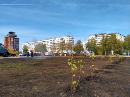 В 2023 году в Йошкар-Оле высадили более 450 новых деревьев и кустарников