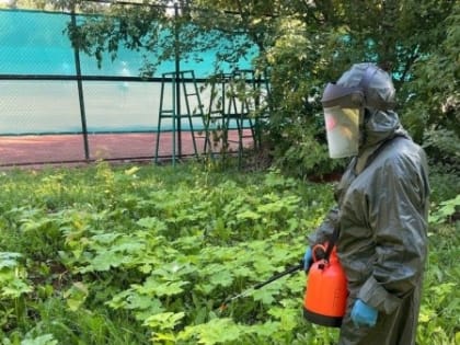 В Йошкар-Оле парк обработали от борщевика