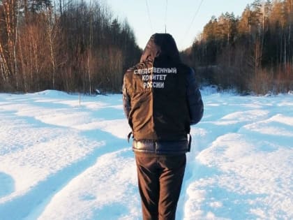 В Марий Эл перед судом предстанет охотник, случайно застреливший знакомого