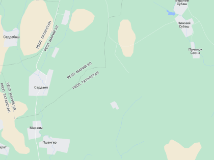 Между Марий Эл и Татарстаном официально уточнили границу