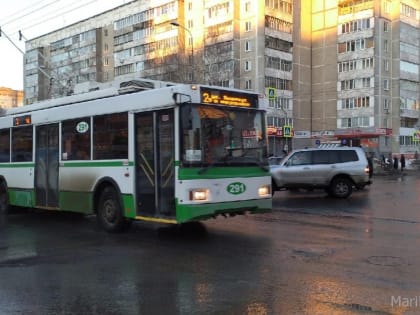 В Йошкар-Оле с 1 марта изменится стоимость проезда в троллейбусах