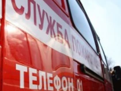 В Волжске пожарные тушили гараж и машину: есть пострадавший 