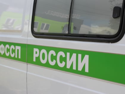 Жители Марий Эл смогут пообщаться с руководством судебных приставов в райцентрах