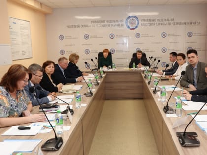 Общественный совет при УФНС России по Республике Марий Эл провел первое заседание в 2025 году