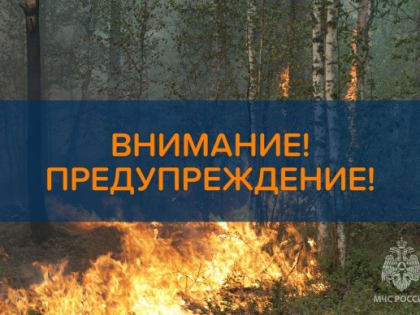 В Марий Эл с 10 по 14 августа ожидается высокая пожароопасность лесов 4 класса