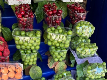 Виноград: от полезного продукта до потенциальной угрозы