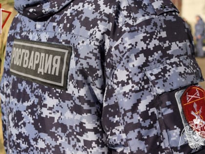 В Йошкар-Оле сотрудники Росгвардии задержали гражданина, подозреваемого в хищении товара