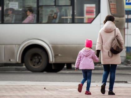 В прошлом году в Марий Эл материнский капитал получили 290 семей