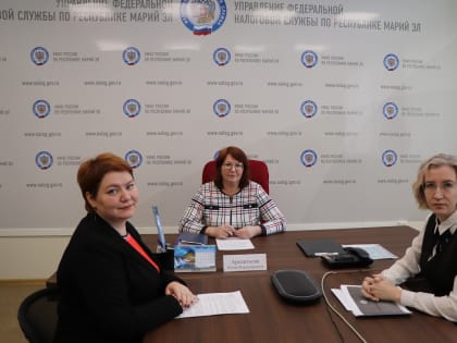 На вебинаре напомнили об обязанности декларирования доходов