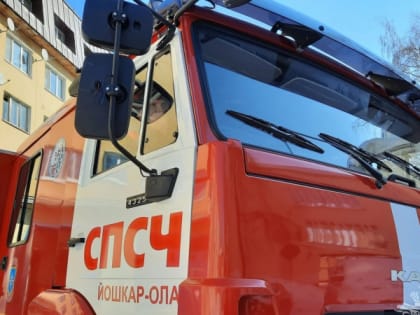 Девятнадцать пожарных тушили пожар в Медведевском районе