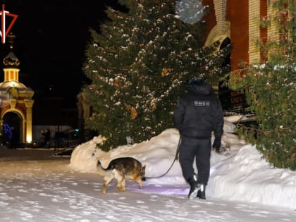 В Марий Эл росгвардейцы приняли участие в обеспечении общественной безопасности во время празднования Рождества Христова