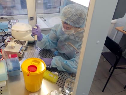 В Чувашии два человека заразились сибирской язвой