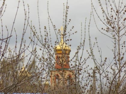 Опубликовано расписание богослужений на Вербное воскресенье в Йошкар-Оле