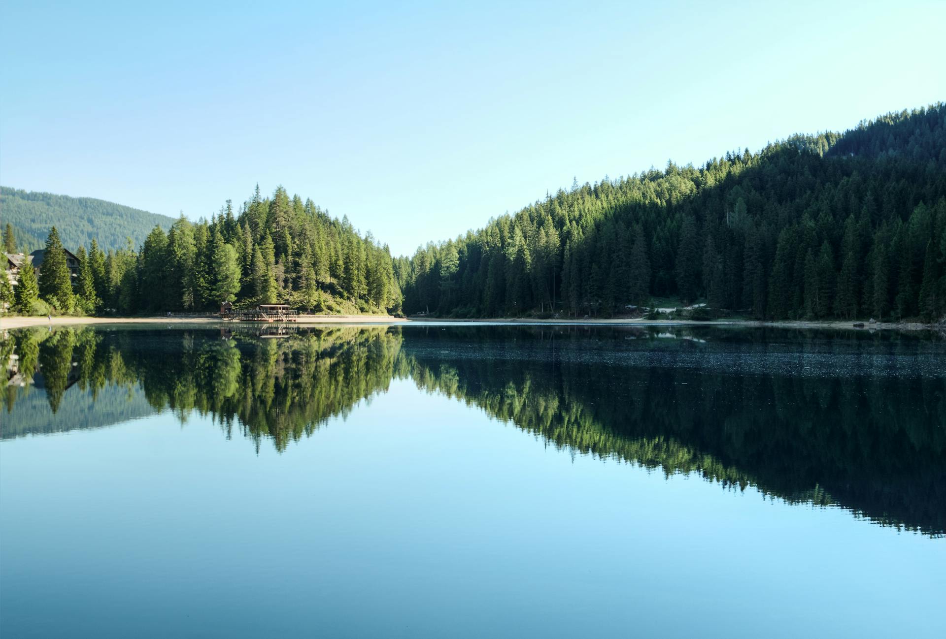 Ein von dichtem Wald umrandeter See bei blauem Himmel