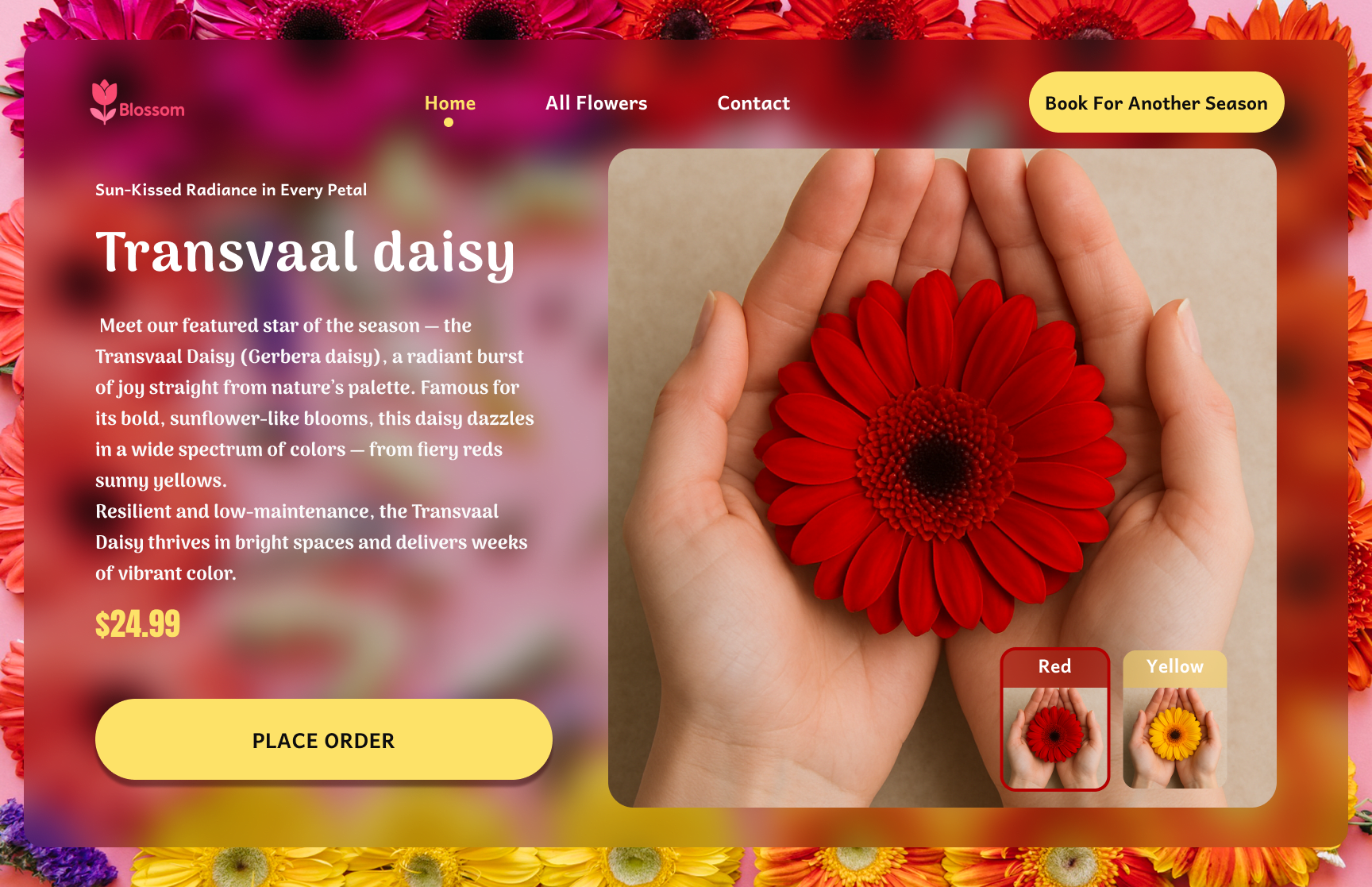 Hero Sections design