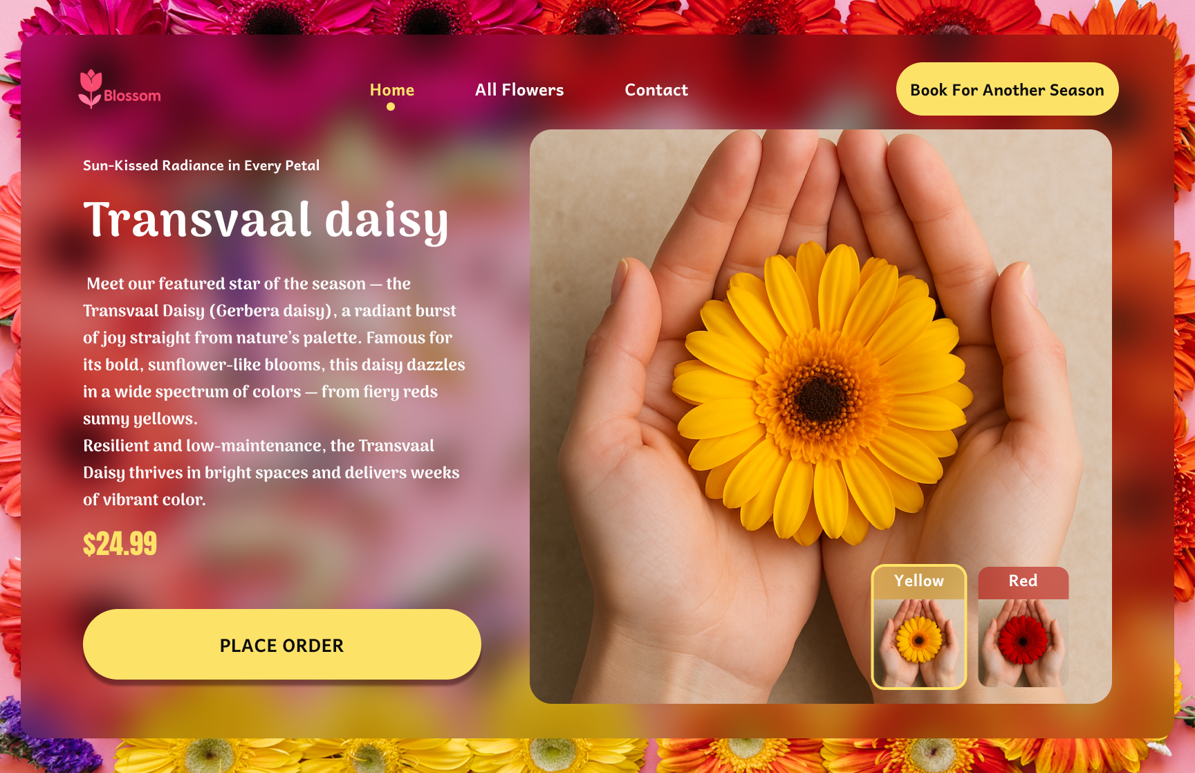 Hero Sections design