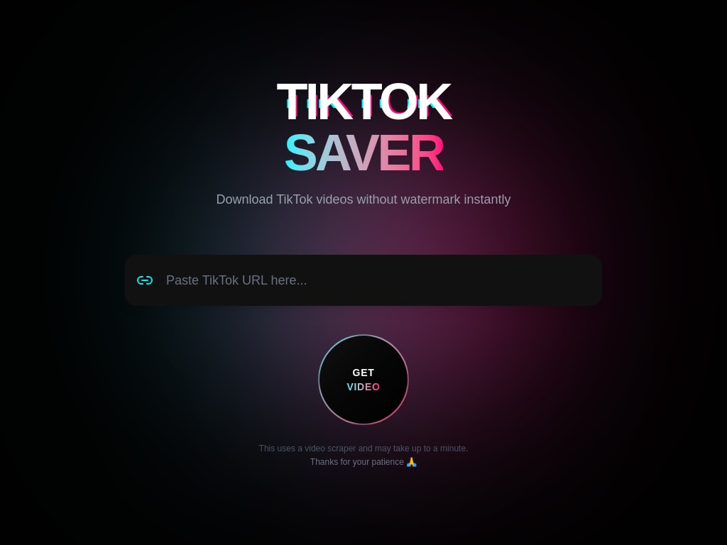 TikTok Video Downloader