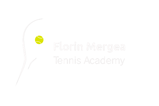 Academia Florin Mergea