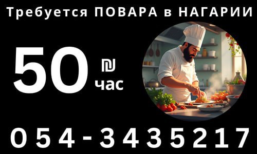 דרושים טבחים בנעריה – עבודות, אירוח ותיירות, נהריה | בלוח המודעות של Prodam.co.il