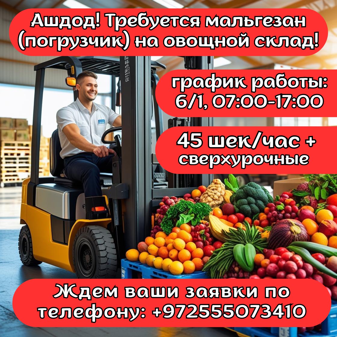 Вакансии на овощной базе в Ашдоде – Работа, Логистика и Склад, Ашдод | На доске объявлений Prodam.co.il