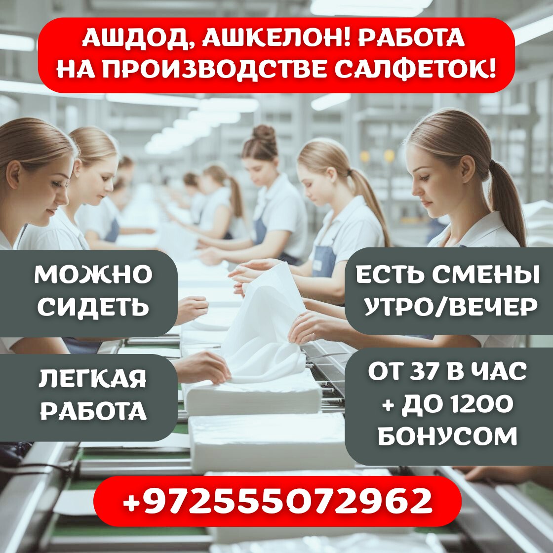 Вакансия на заводе по производству салфеток в Ган Явне – Работа, Производство и Инженерия, Ашдод | На доске объявлений Prodam.co.il