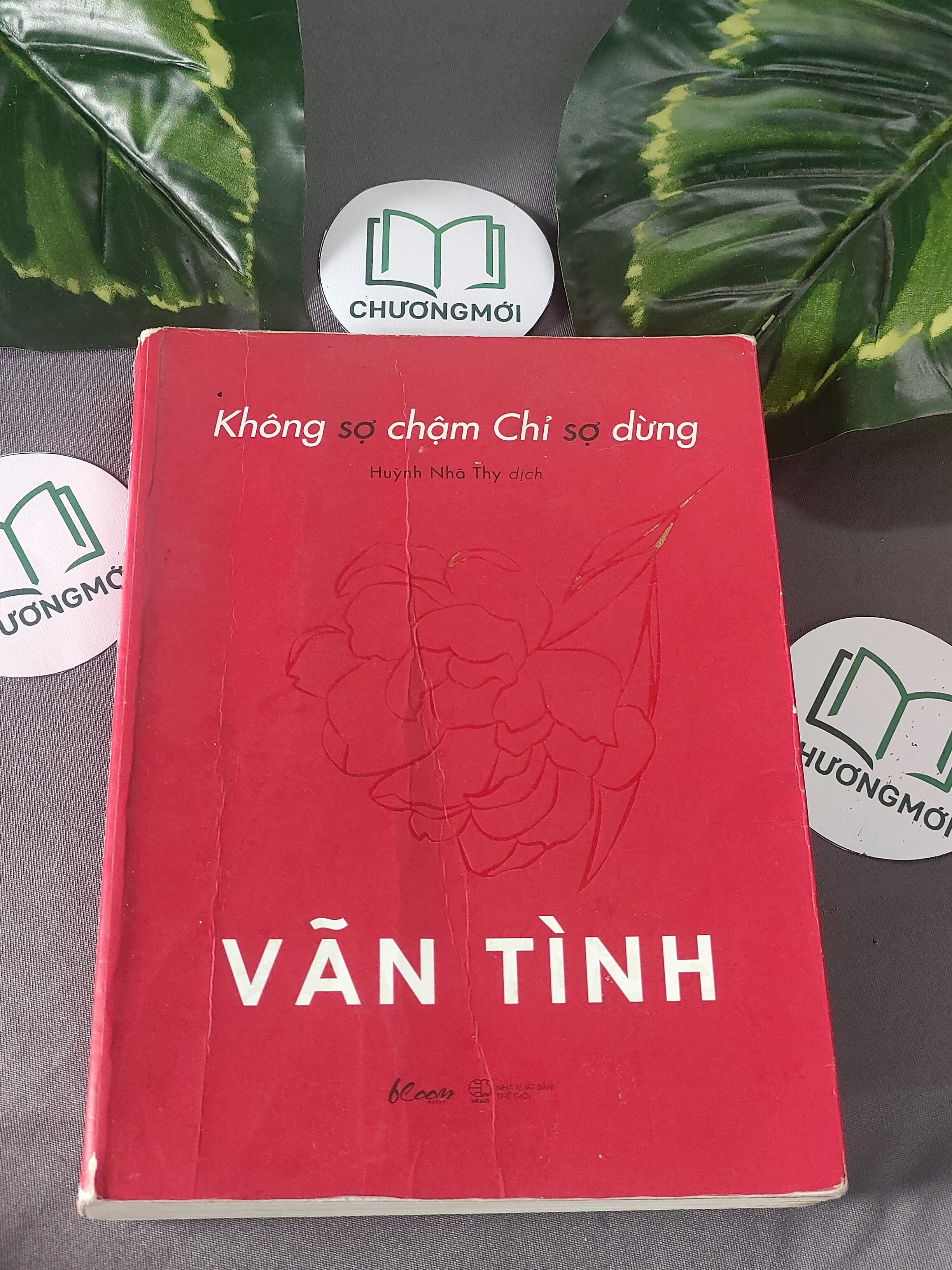 Không Sợ Chậm Chỉ Sợ Dừng