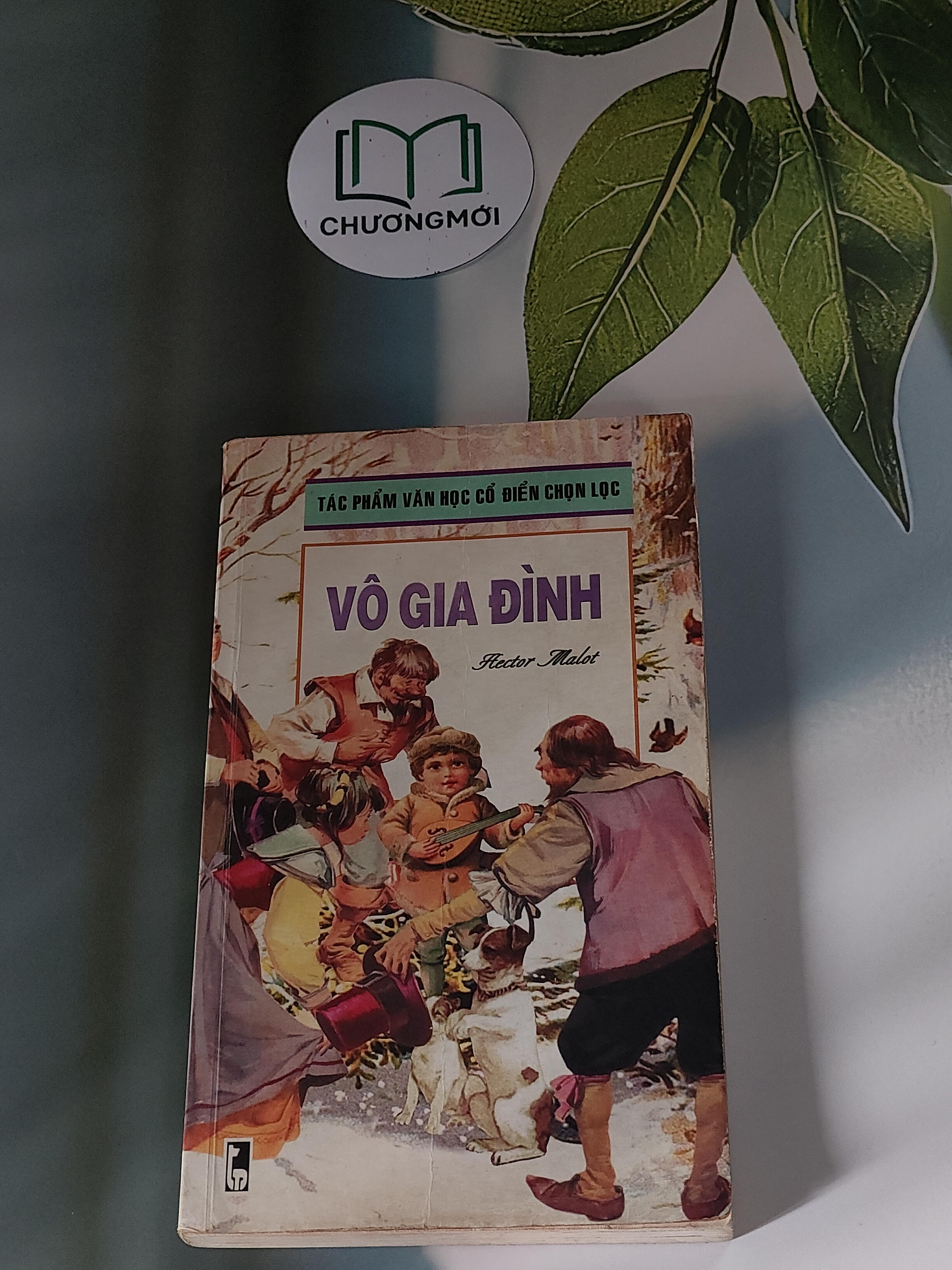 Vô Gia Đình
