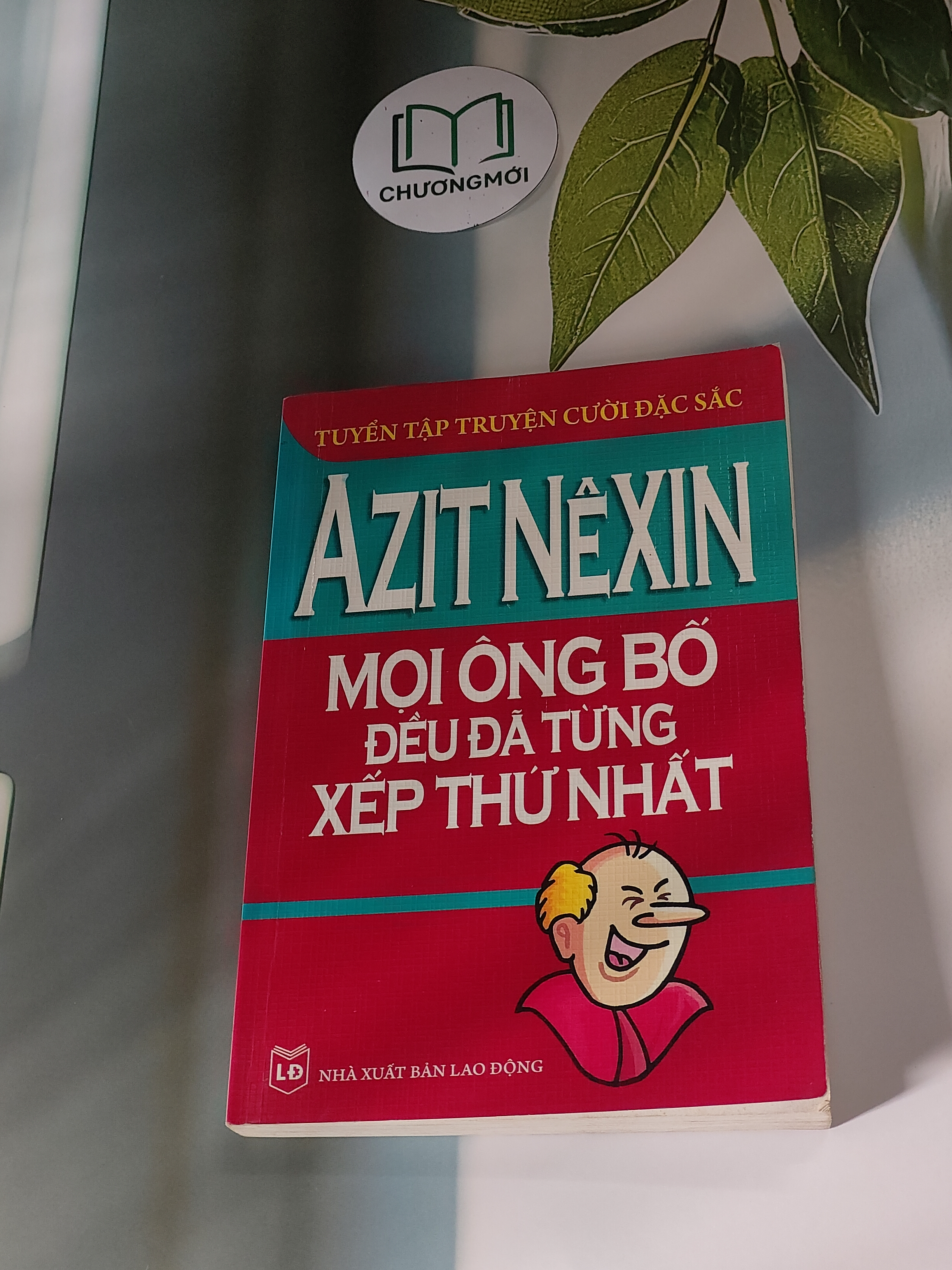 Mọi Ông Bố Đều Đã Từng Xếp Thứ Nhất