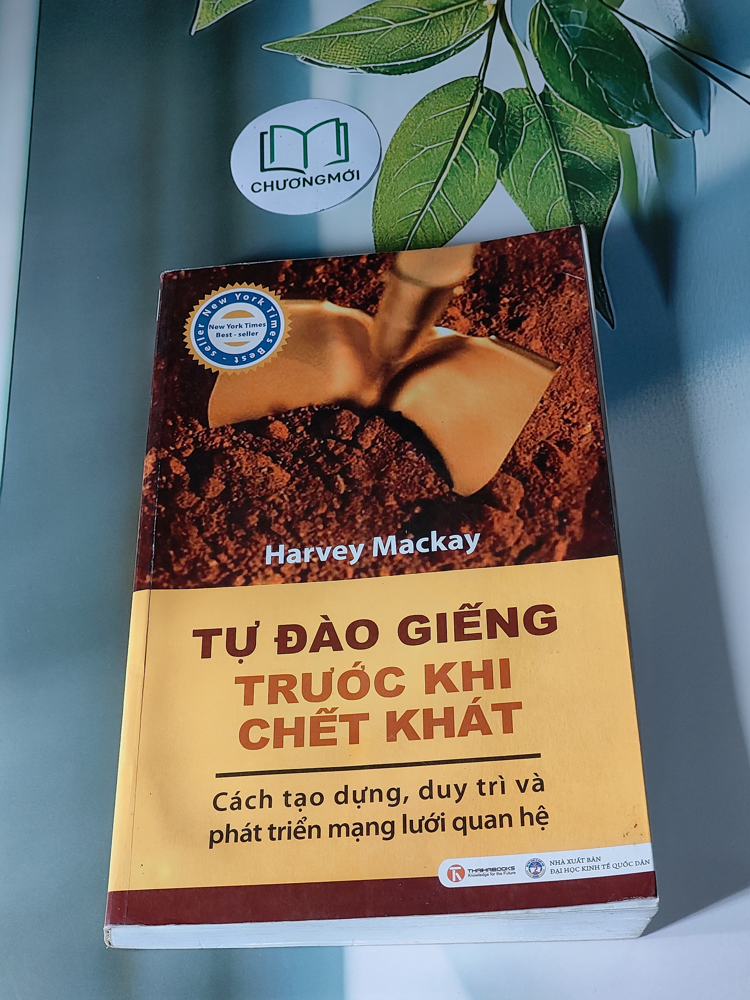 Tự Đào Giếng Trước Khi Chết Khát