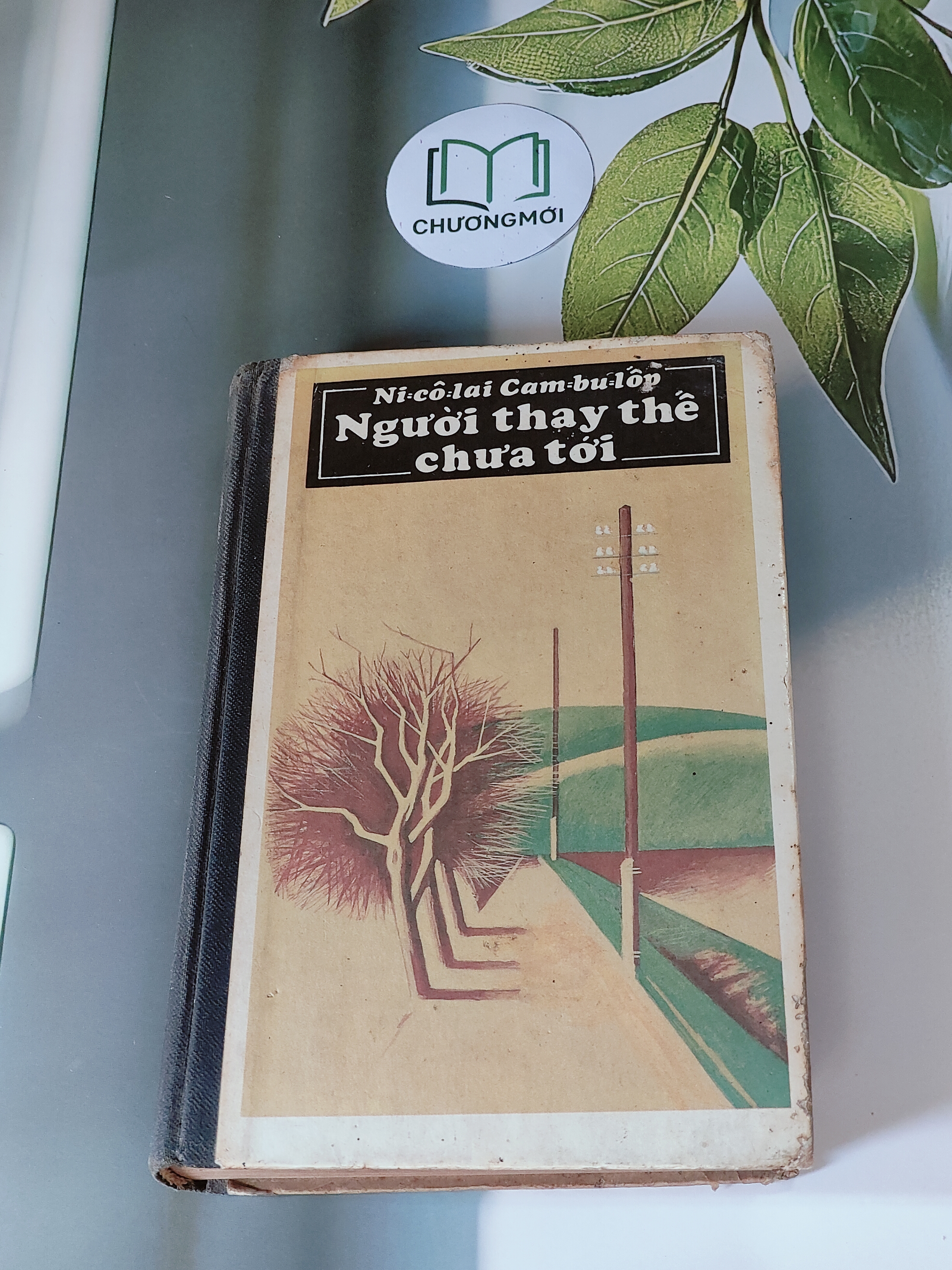 Người Thay Thế Chưa Tới