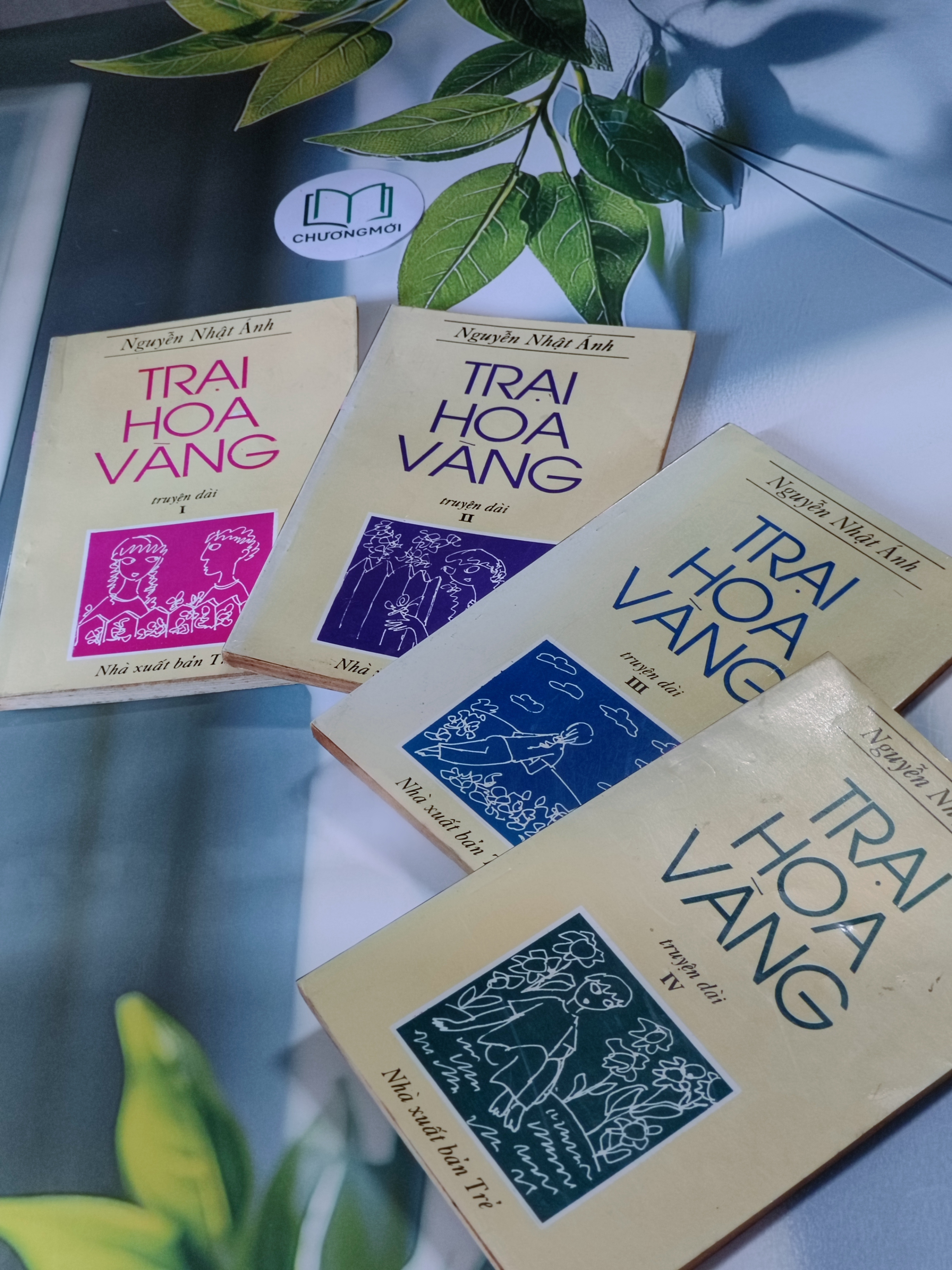 Trọn bộ Trại hoa vàng (4 tập)