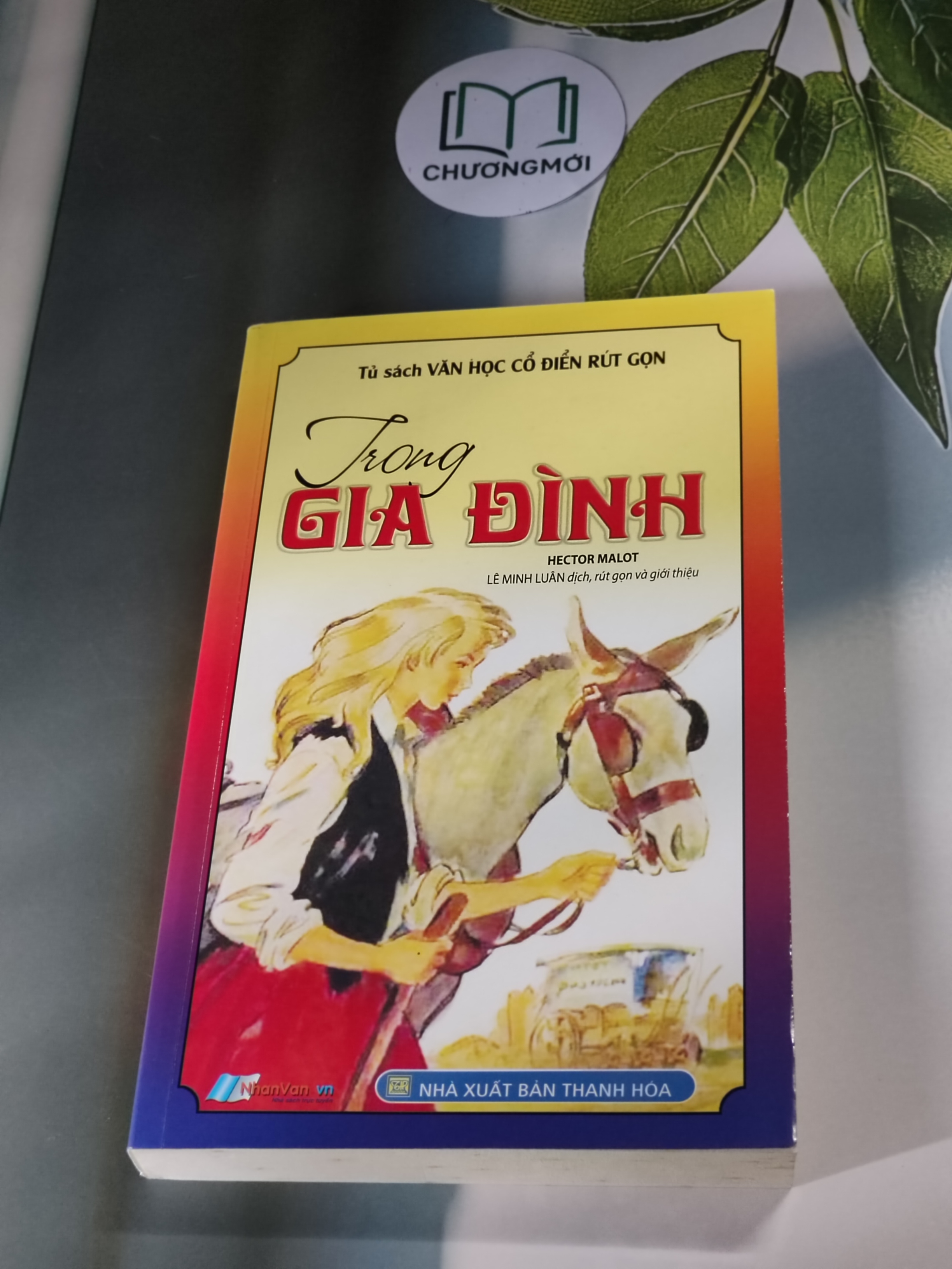 Trong gia đình