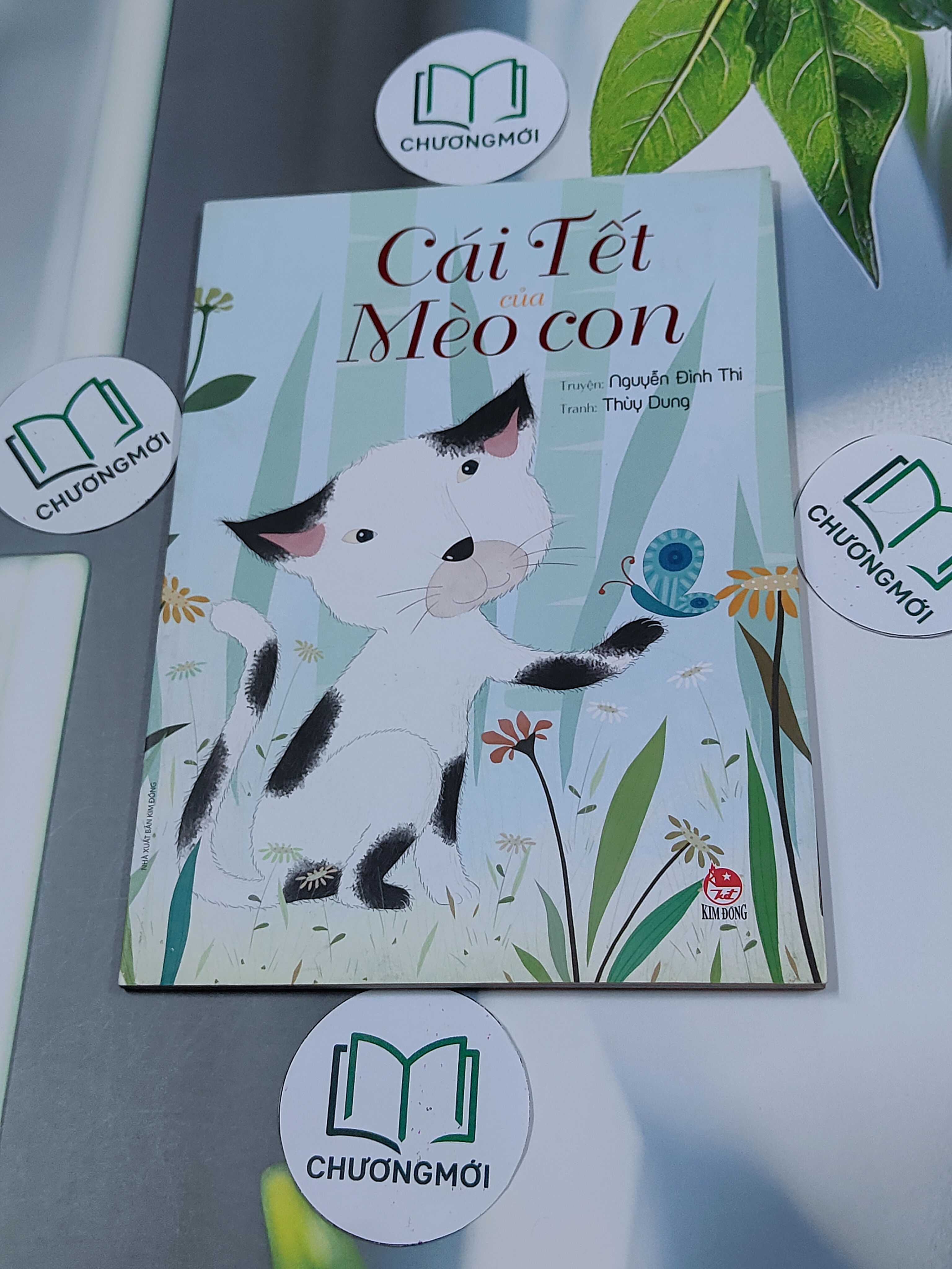 Cái Tết Của Mèo Con 