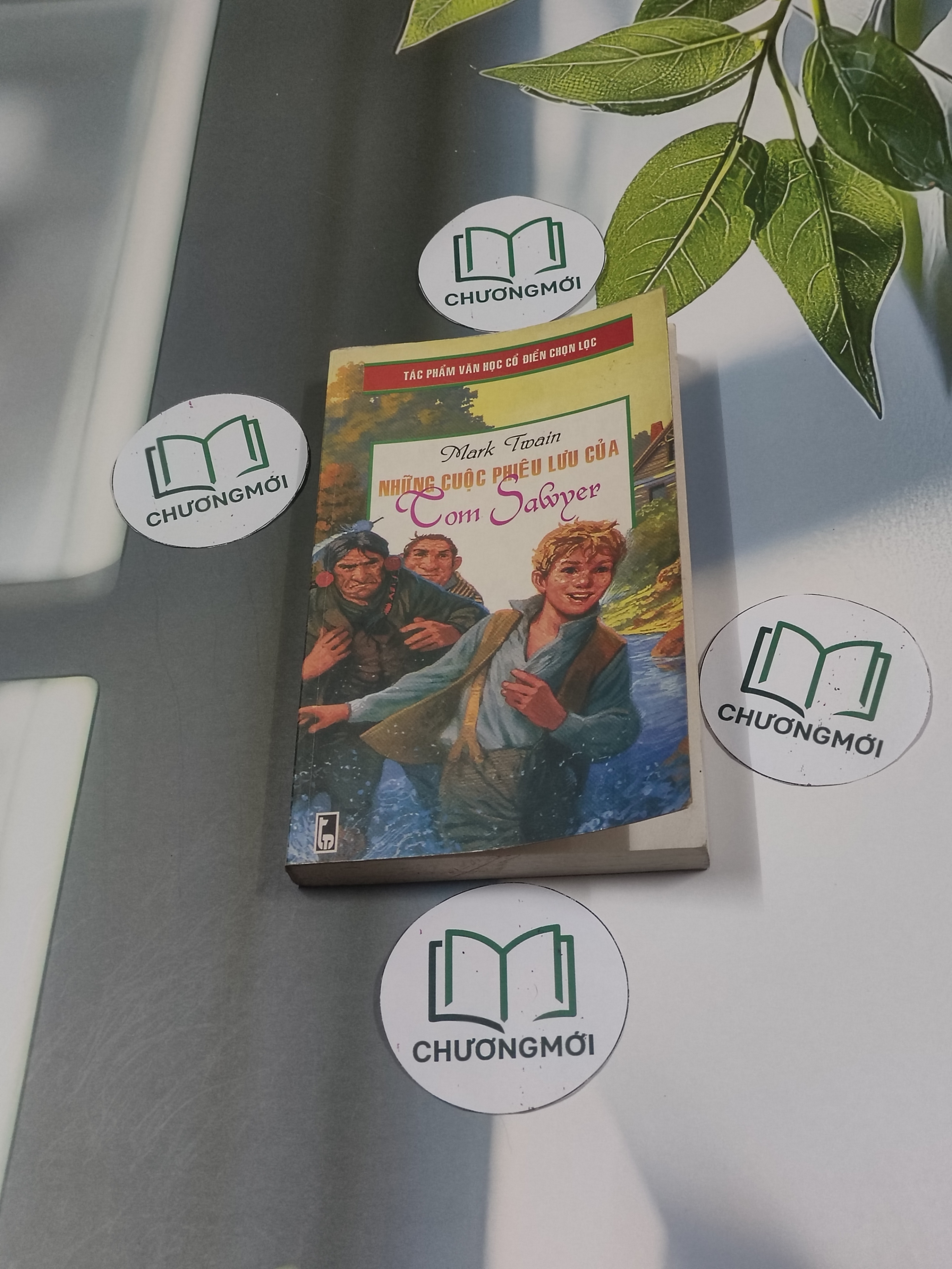 Những Cuộc Phiêu Lưu Của Tom Sawyer