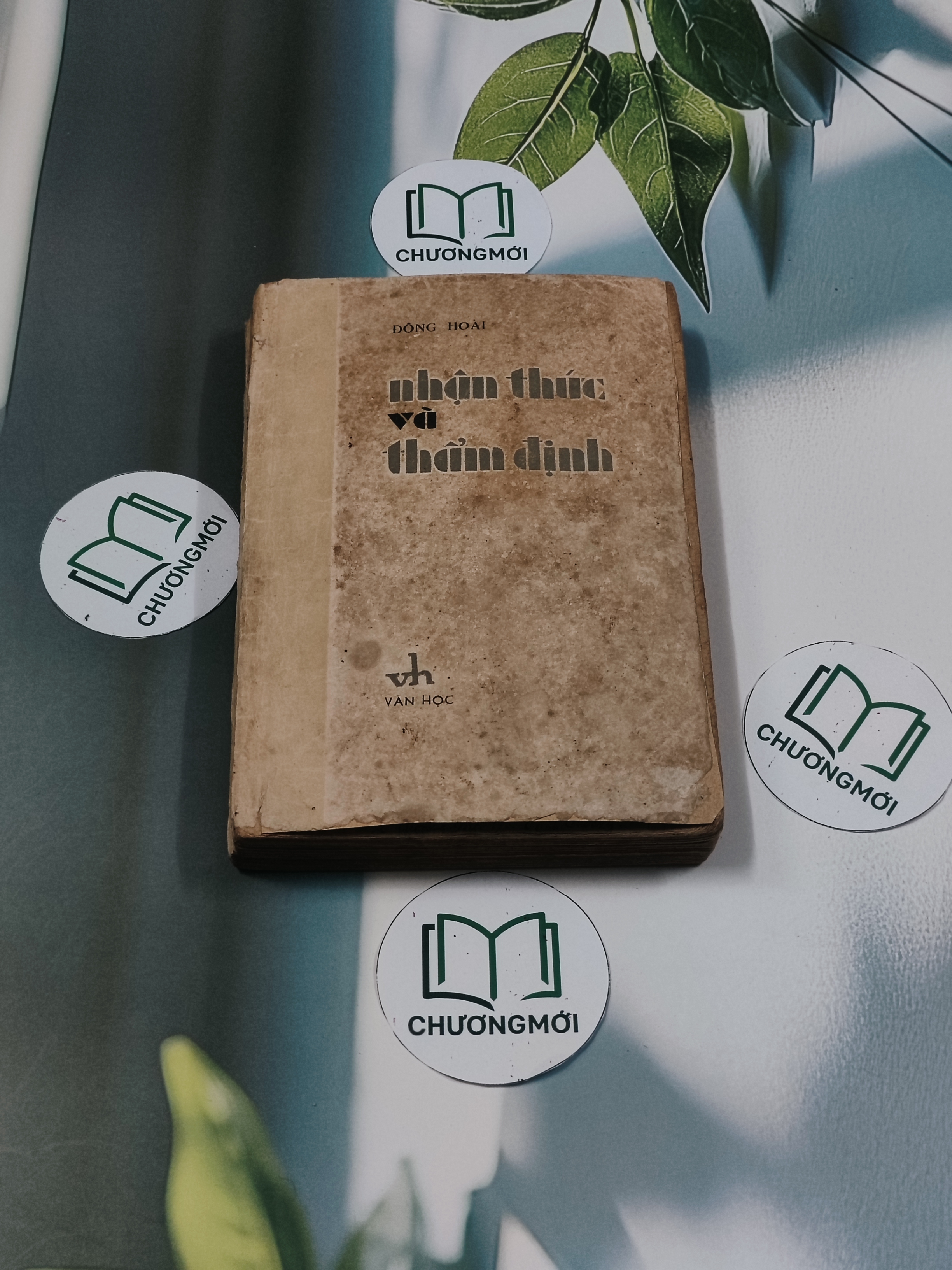 Nhận Thức và Thẩm Định