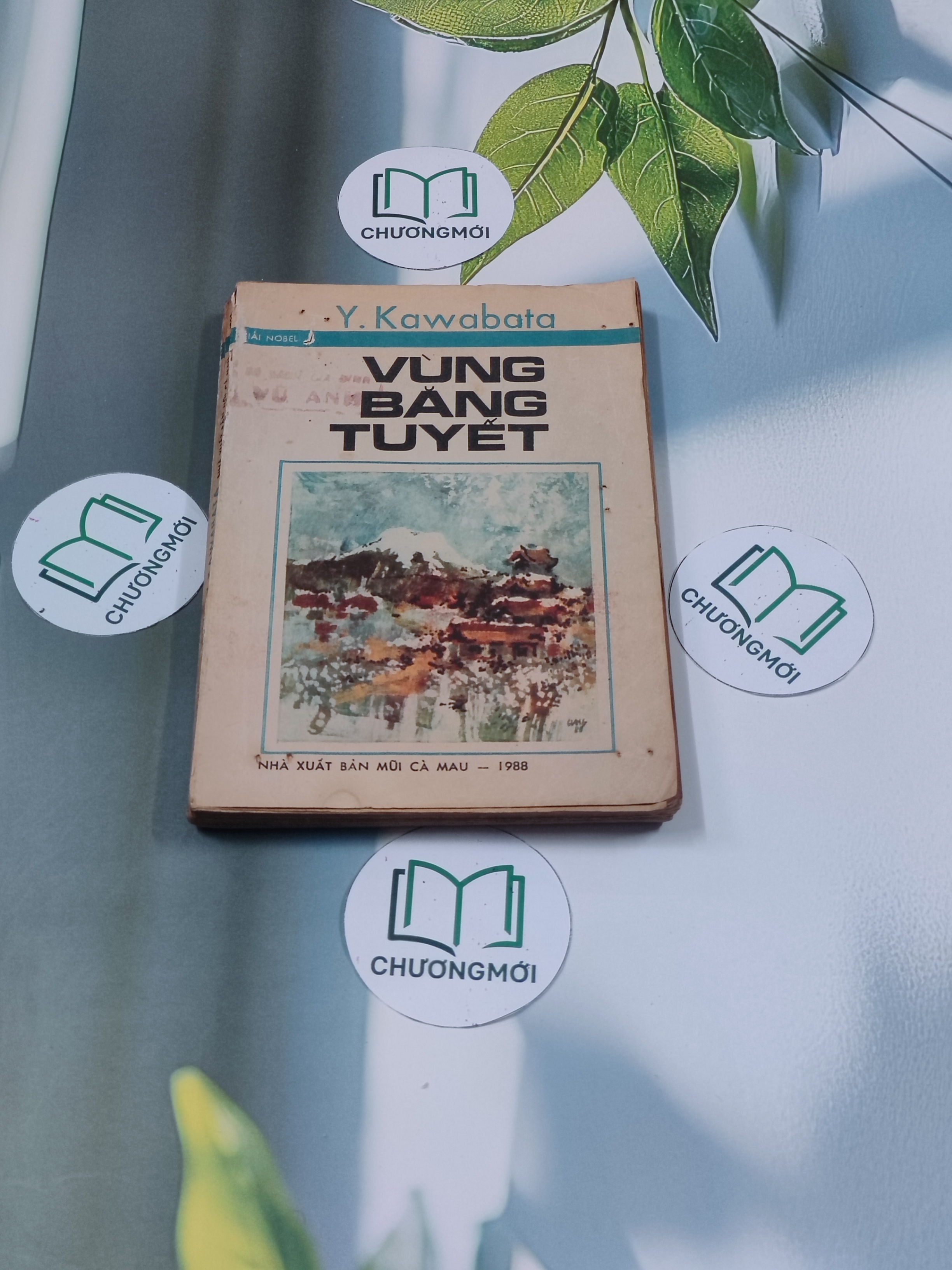 Vùng Băng Tuyết