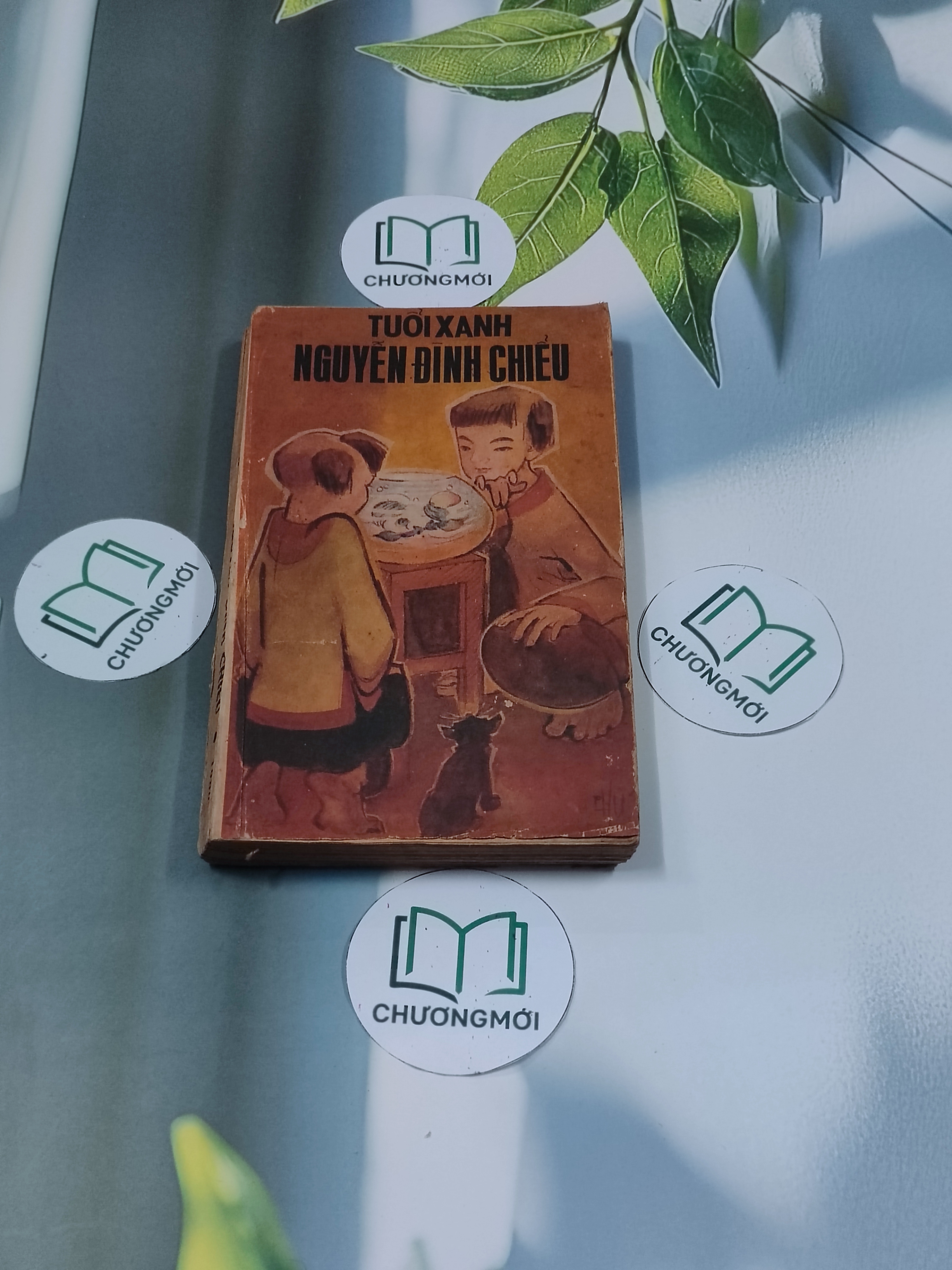 Tuổi Xanh Nguyễn Đình Chiểu